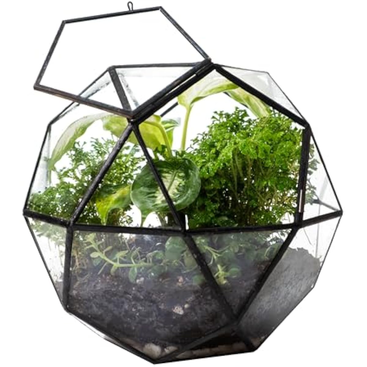 Geometric Sphere Terrarium wit - Glass Door Hinge 评论和价格