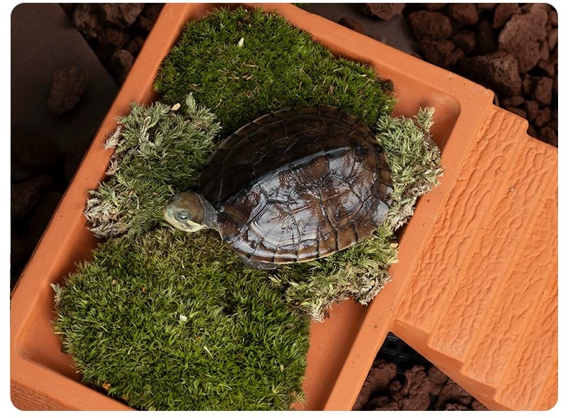 Aquarium Turtle Basking Platfo - Hide Cave Ceramic 评论和价格