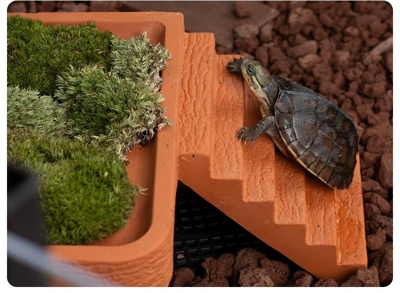 Aquarium Turtle Basking Platfo - Hide Cave Ceramic 评论和价格