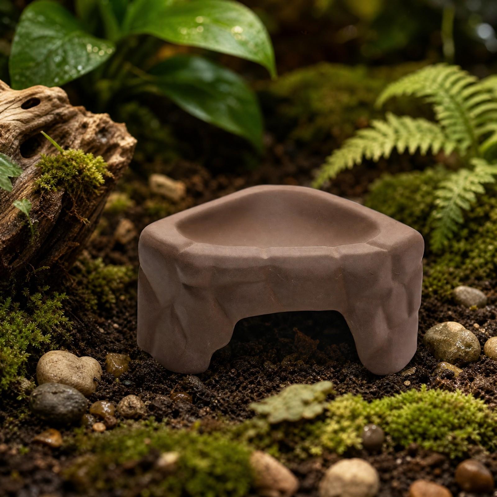 Reptile Feeding Platform Ceram - Hide Cave Ceramic 评论和价格